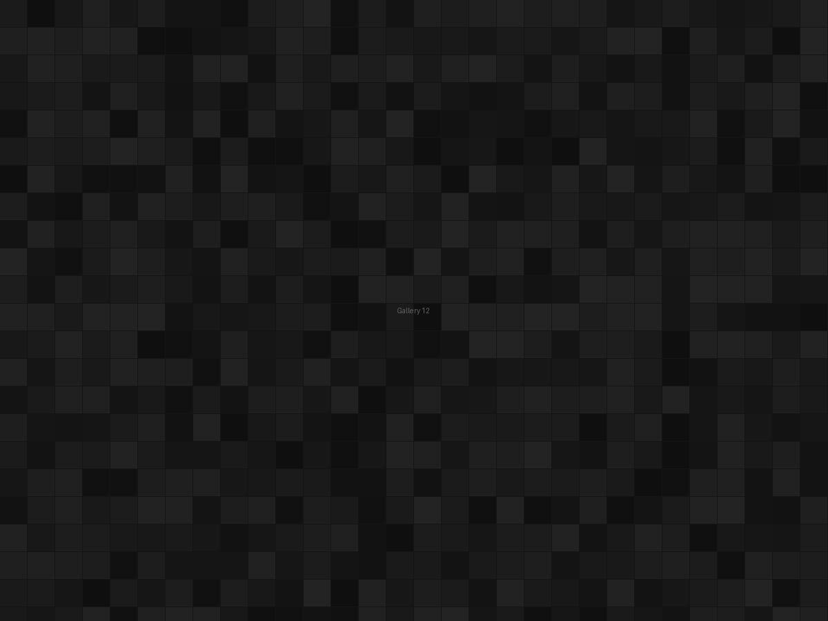 Trail through pine forest